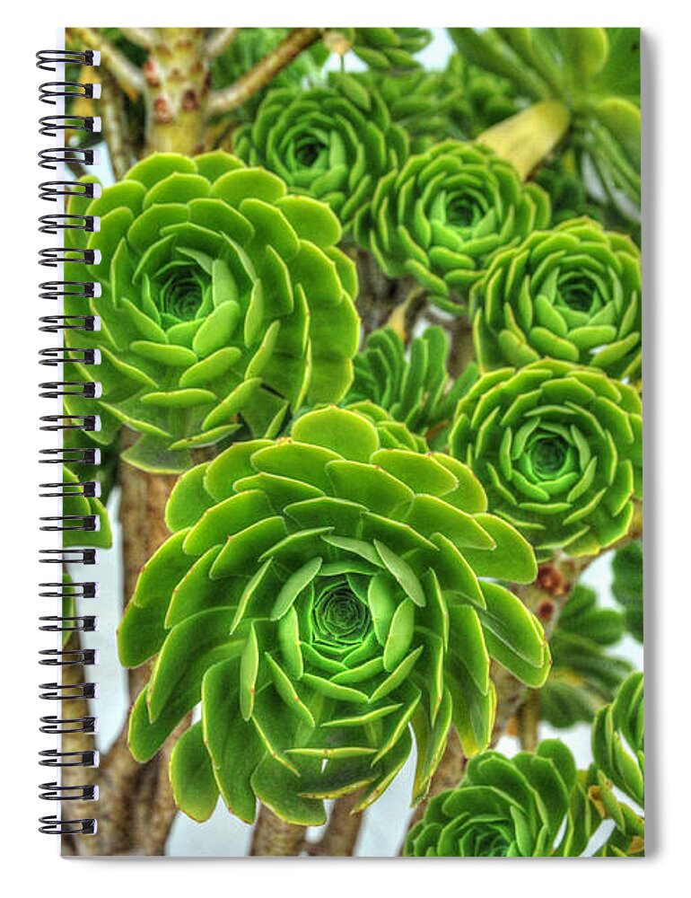 Floral Spiral Notebook featuring the photograph Pedals of Green by Richard Gehlbach