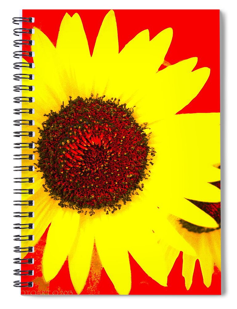 Sunflower Spiral Notebook featuring the photograph Peek A Boo by Kathy Barney