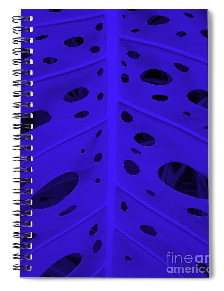 Leaf Spiral Notebook featuring the photograph Peek-a-Boo Leaf in Purple by Mary Deal