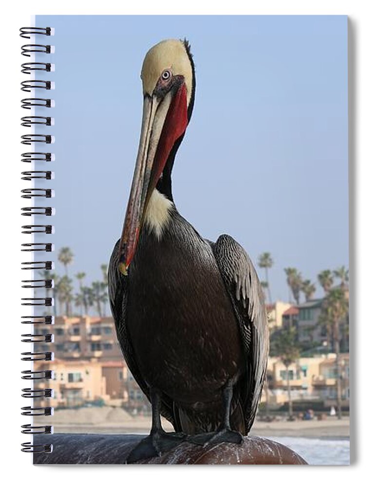Wild Spiral Notebook featuring the photograph Pelican by Christy Pooschke