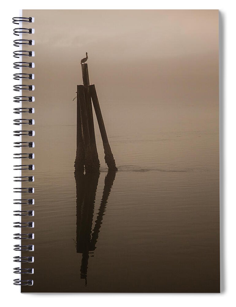 Foggy Spiral Notebook featuring the photograph Pelican on a Stick by Monte Arnold