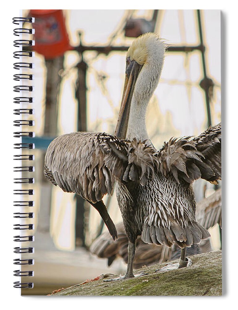 Pelican Spiral Notebook featuring the photograph Pelican Strut by Donna Greene