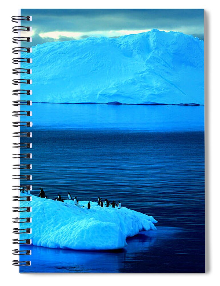Icebergs Spiral Notebook featuring the photograph Penguins on Iceberg by Amanda Stadther