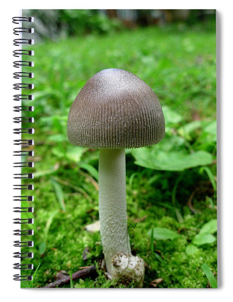 Mushroom Spiral Notebook featuring the photograph Pennsylvania Woodland Fungi 3 by Richard Reeve