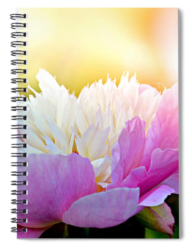 Art Spiral Notebook featuring the photograph Heavenly Peony by Joan Han