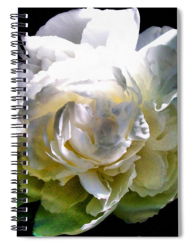 Single Spiral Notebook featuring the photograph Peony in Morning Sun by Michelle Calkins