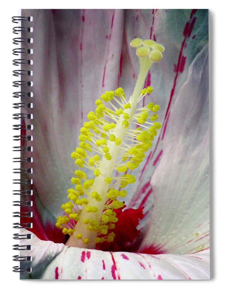 Hibiscus Spiral Notebook featuring the photograph Peppermint Flame 03A by Pamela Critchlow