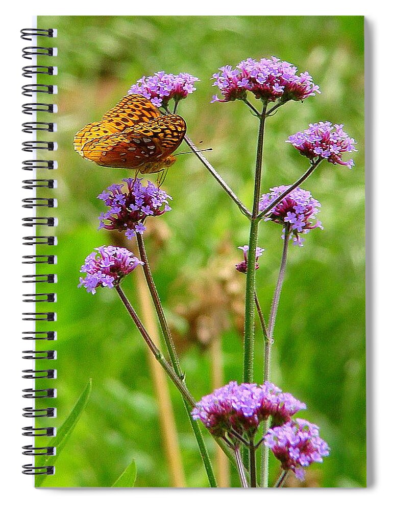 Fine Art Spiral Notebook featuring the photograph Perched by Rodney Lee Williams