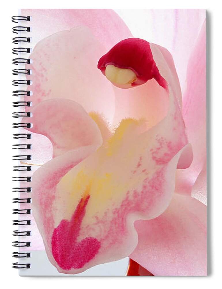 Orchid Spiral Notebook featuring the photograph Perfect Imperfection by Juergen Roth