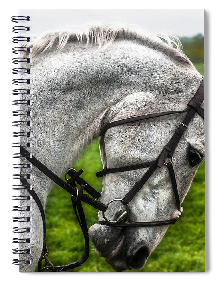 Steeplechase Spiral Notebook featuring the photograph Peripheral Vision by Robert L Jackson