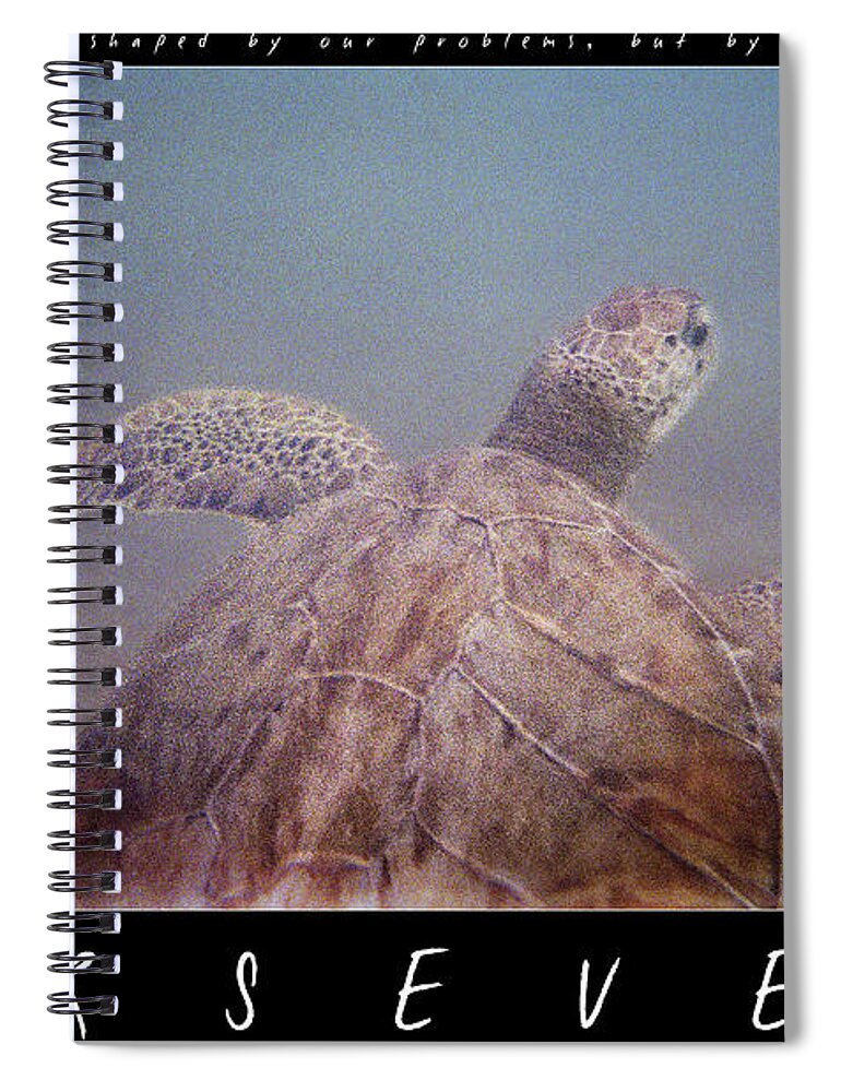 Turtle Spiral Notebook featuring the photograph Persevere II by Weston Westmoreland