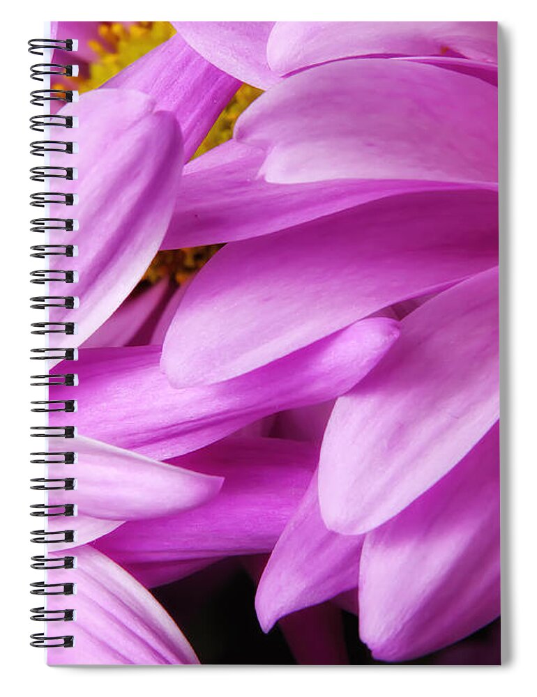 Petals Spiral Notebook featuring the photograph Petals by Rick Kuperberg Sr