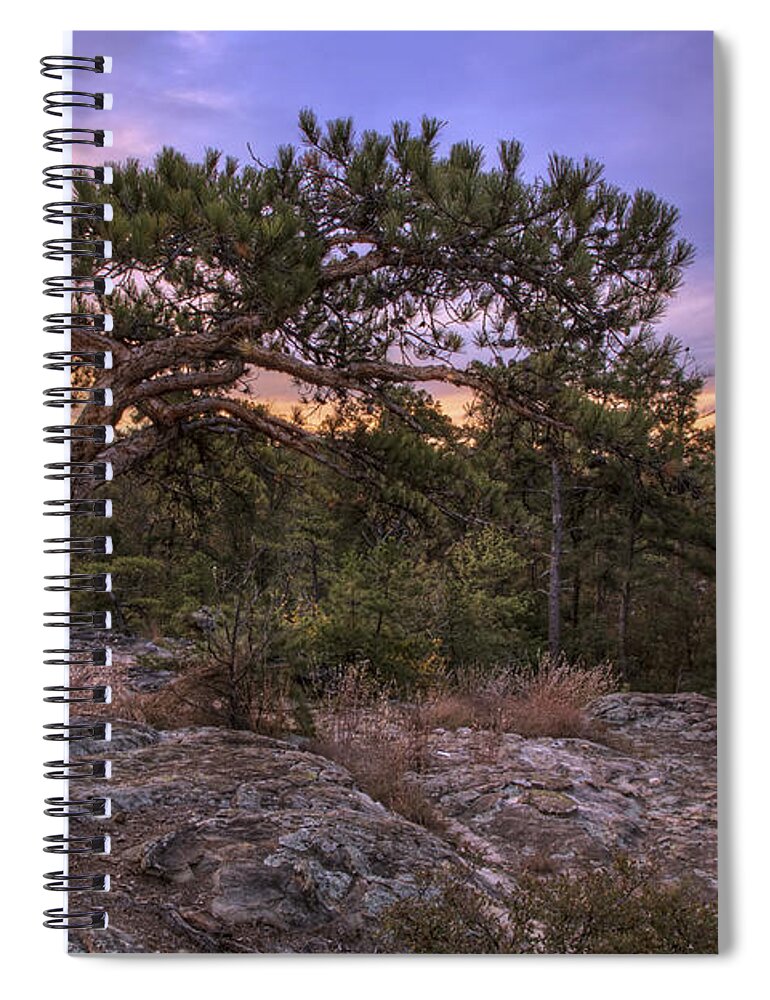 Petit Jean Spiral Notebook featuring the photograph Petit Jean Mountain Bonsai Tree - Arkansas by Jason Politte