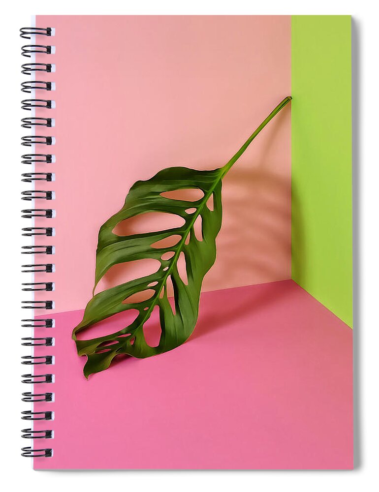 Sparse Spiral Notebook featuring the photograph Philodendron Leaf Leaning In Corner Of by Juj Winn