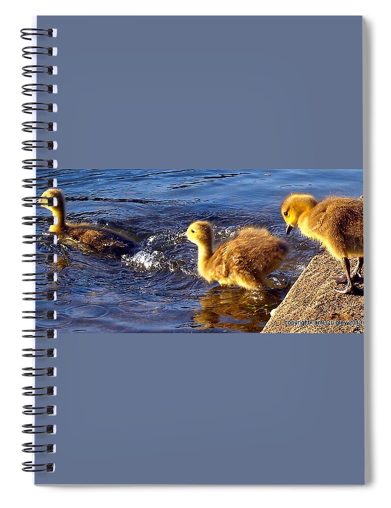 Goslings Spiral Notebook featuring the photograph Pied Piper by Tami Quigley