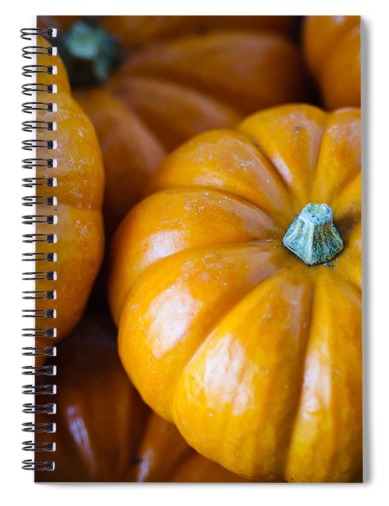 Color Spiral Notebook featuring the photograph Pile of Pumpkins by Christi Kraft