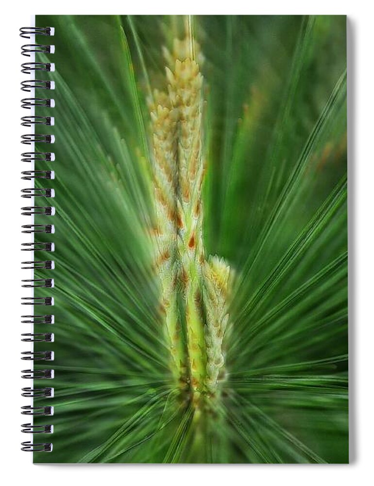 Pine Spiral Notebook featuring the photograph Pine Cone and Needles by Phyllis Meinke
