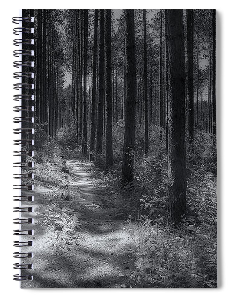 Trees Spiral Notebook featuring the photograph Pine Grove by Scott Norris