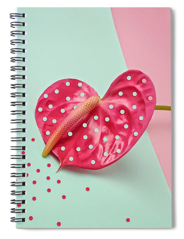 Color Image Spiral Notebook featuring the photograph Pink Anthurium by Juj Winn