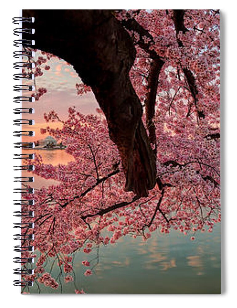 Metro Spiral Notebook featuring the photograph Pink Cherry Blossom Sunrise by Metro DC Photography