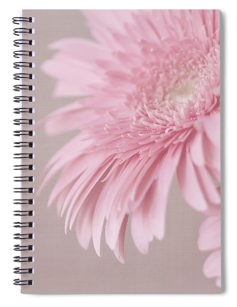 Pink Flower Spiral Notebook featuring the photograph Pink Delight by Kim Hojnacki