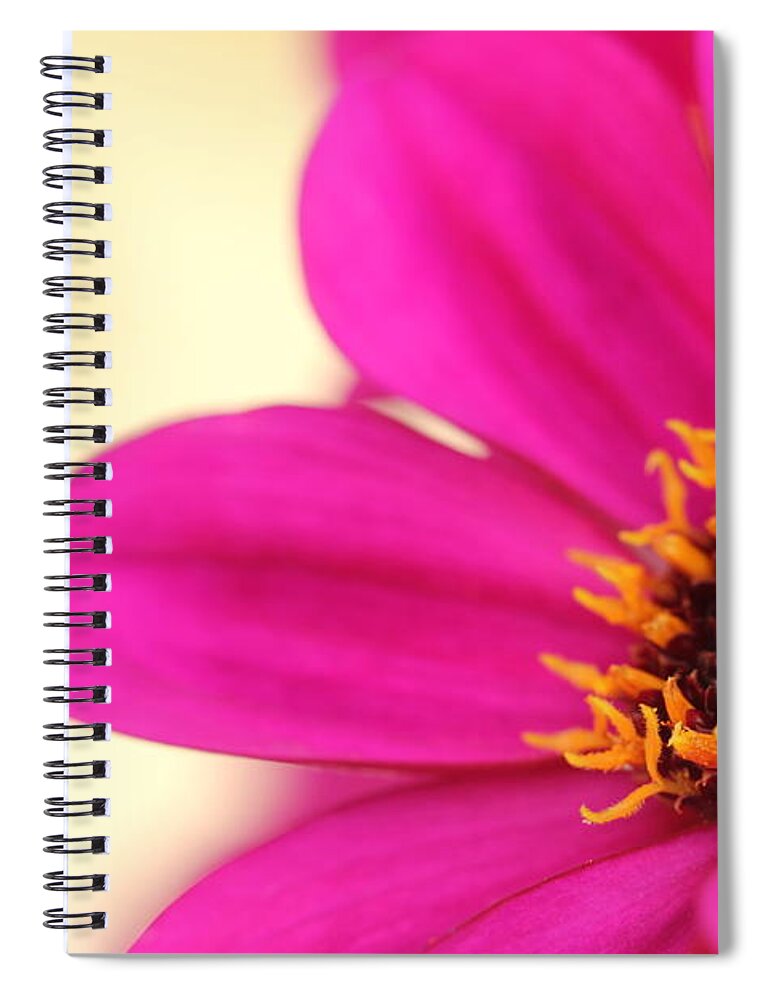 Beautiful Spiral Notebook featuring the photograph Pink Flower by Amanda Mohler