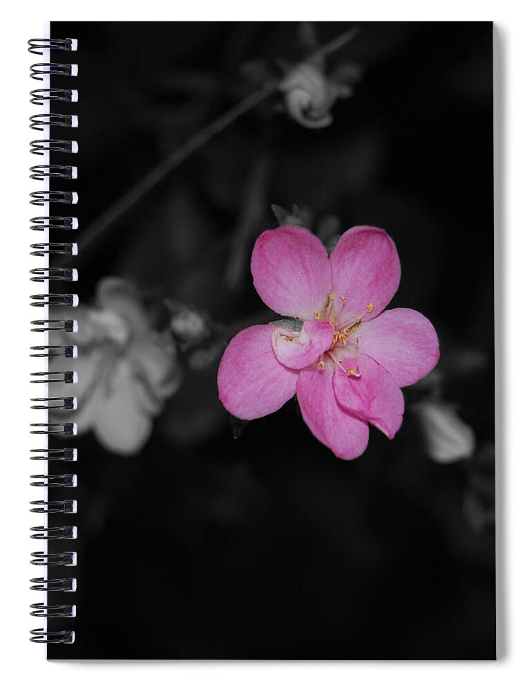 Pink Spiral Notebook featuring the photograph Pink Flower by Maggy Marsh
