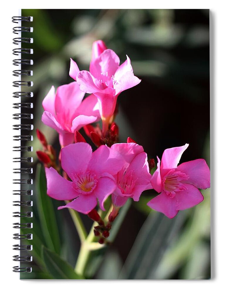 Pink Spiral Notebook featuring the photograph Pink Flower by Ramabhadran Thirupattur