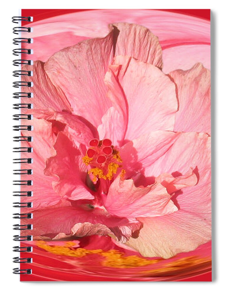 Flowers Spiral Notebook featuring the photograph Pink Hibiscus 804 by Jim Baker