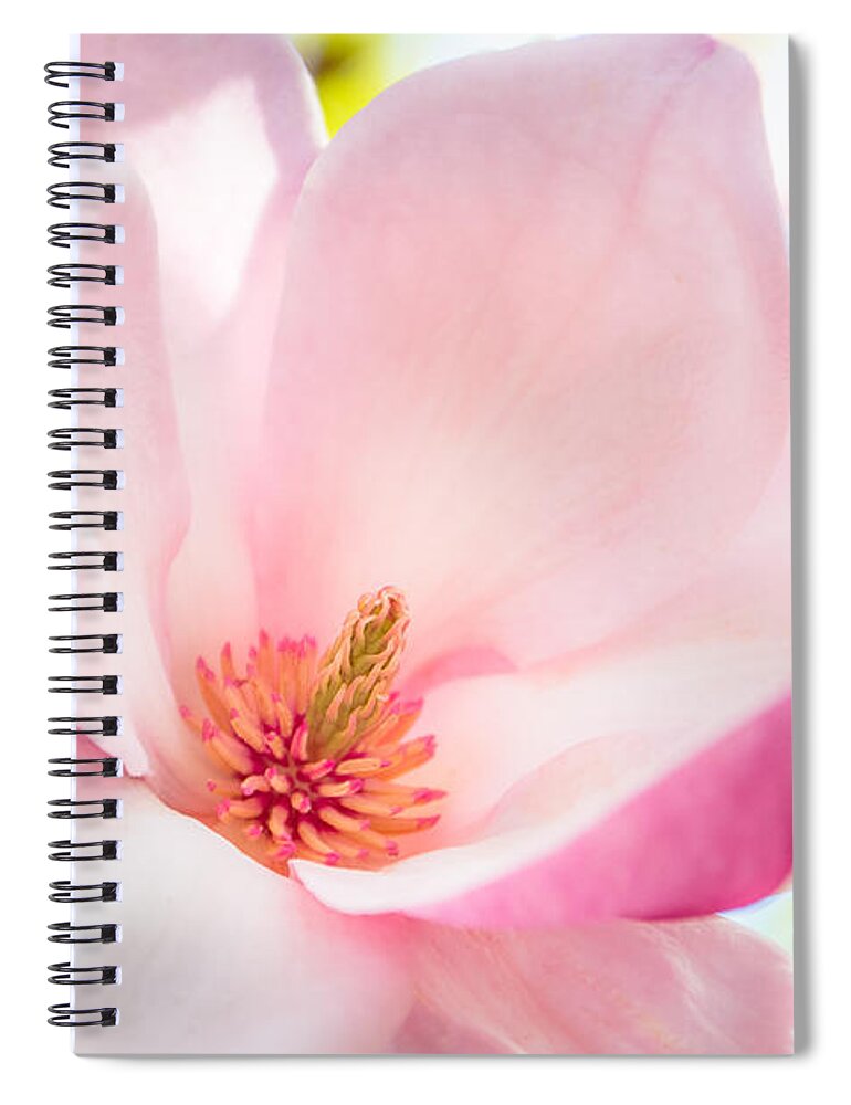 Flower Spiral Notebook featuring the photograph Pink Magnolia by Denise Bird