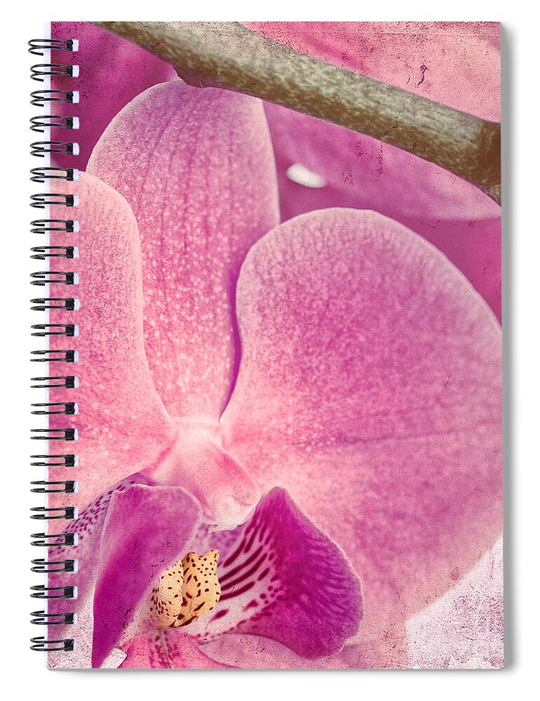 Orchid Spiral Notebook featuring the photograph Pink Orchids 3 by Sabine Jacobs
