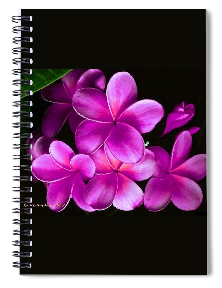 Pink Spiral Notebook featuring the painting Pink Plumeria by Bruce Nutting