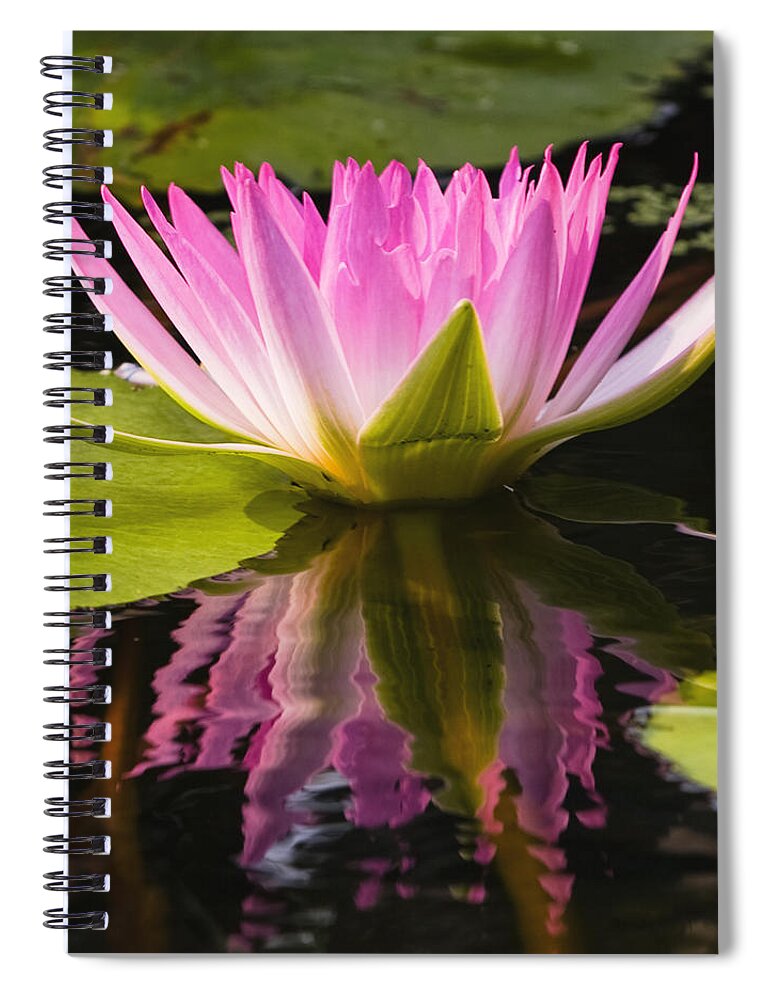 Pink Spiral Notebook featuring the photograph Pink Reflection by Jean-Pierre Ducondi