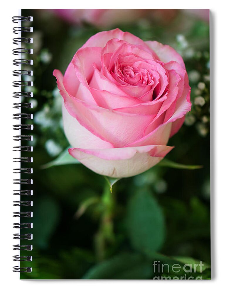 Pink Rose Spiral Notebook featuring the photograph Pink Rose by Gwen Gibson