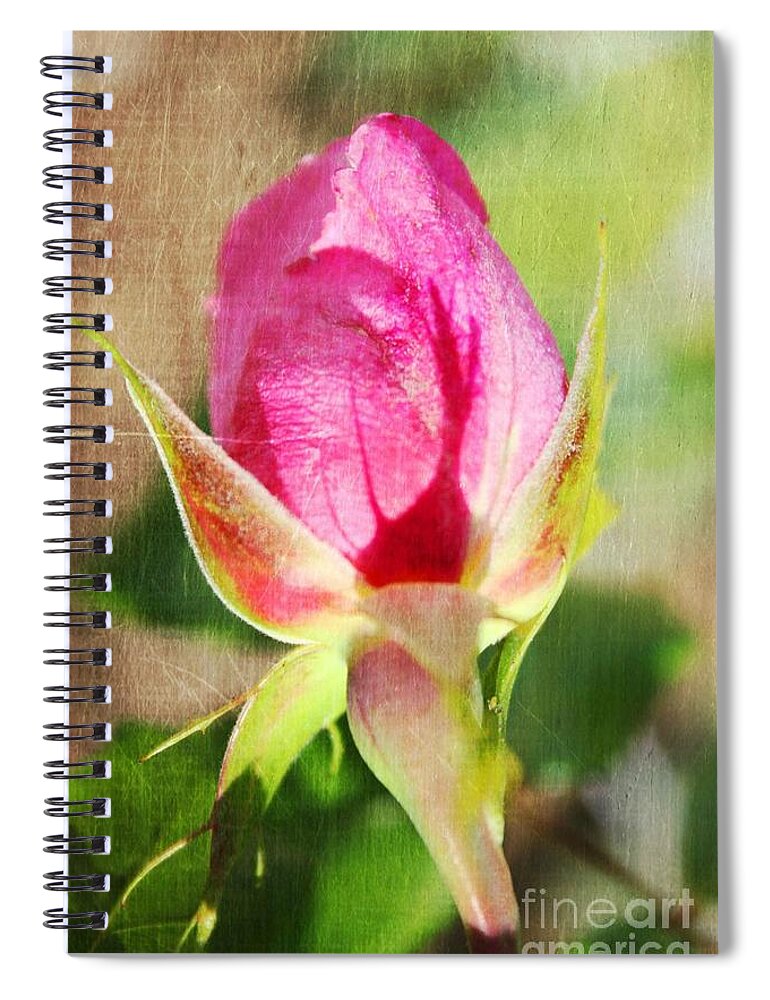 Rose Spiral Notebook featuring the photograph Pink Rose by Judy Palkimas