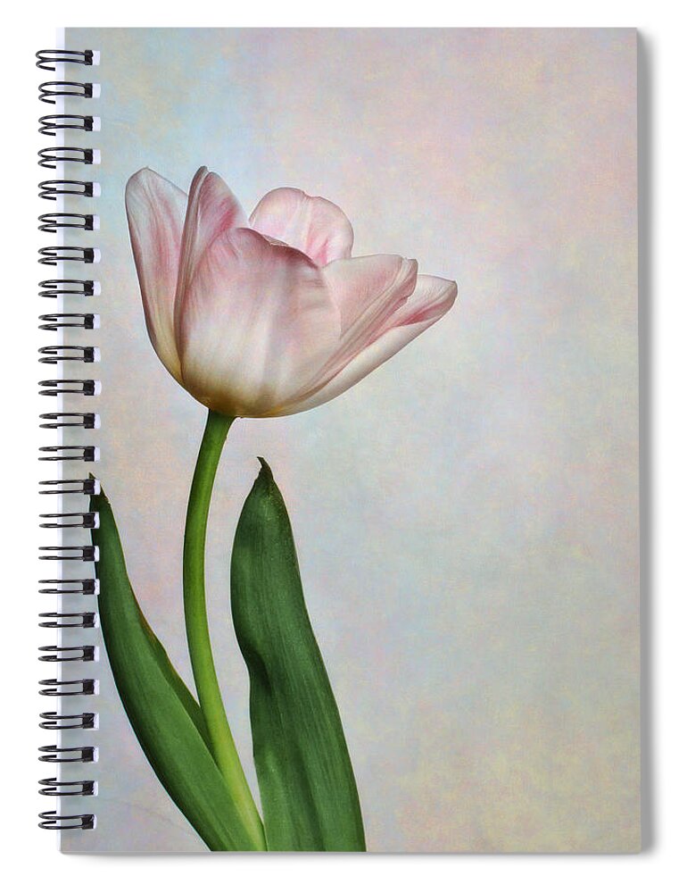 Bloom Spiral Notebook featuring the photograph Pink Tulips III by David and Carol Kelly