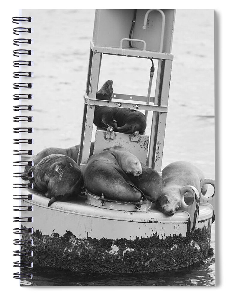Seal Spiral Notebook featuring the photograph Pit Stop Black and White by Scott Campbell