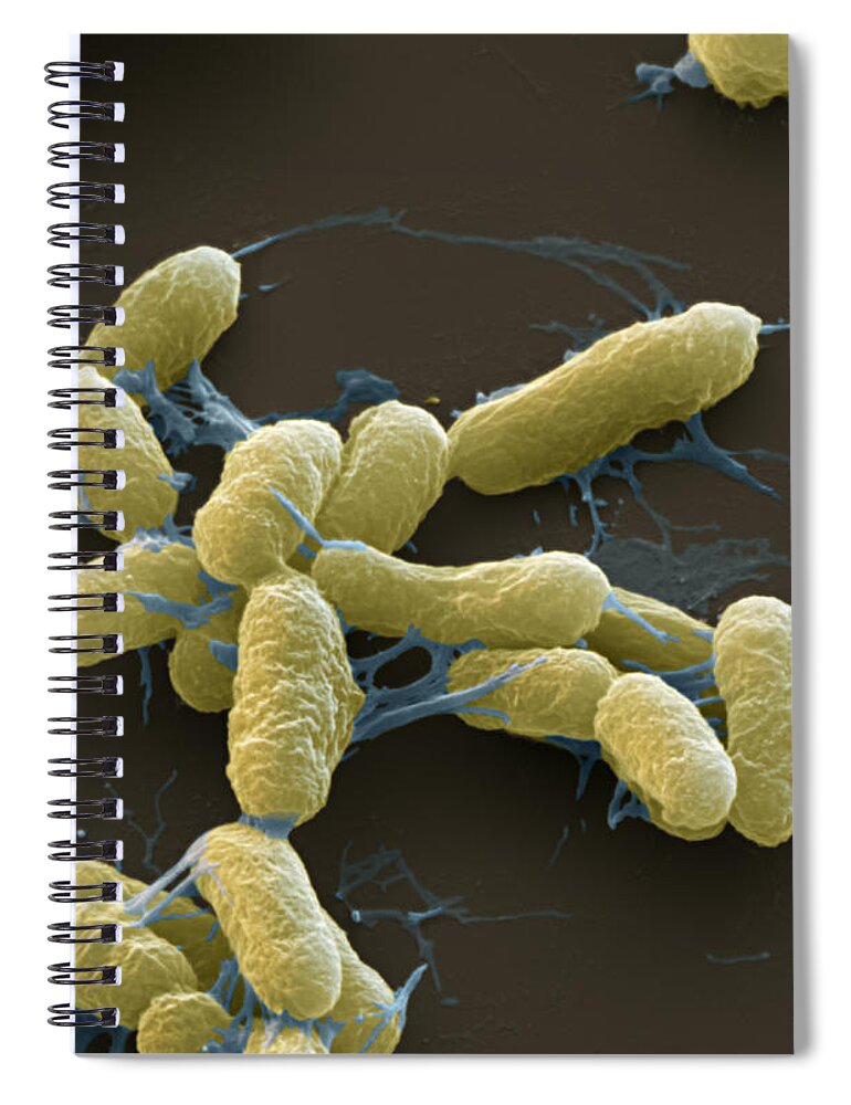 Science Spiral Notebook featuring the photograph Plague Bacteria Yersinia Pestis Sem by Eye of Science