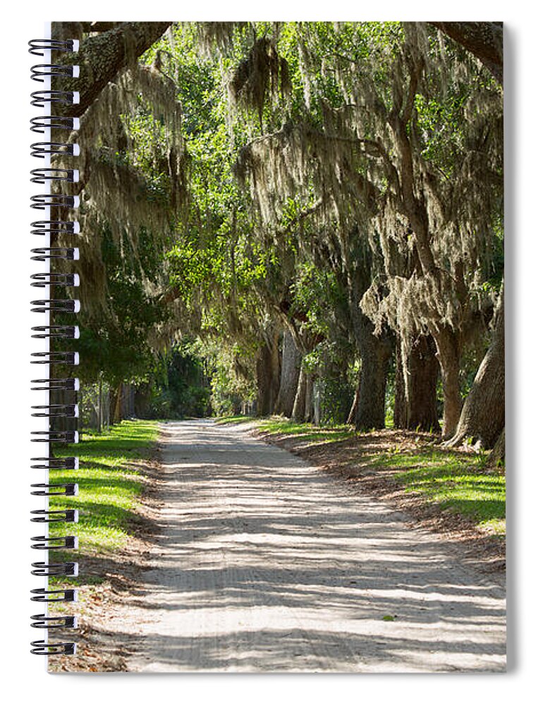 Spanish Moss Spiral Notebook featuring the photograph Plantation Road by Louise Heusinkveld