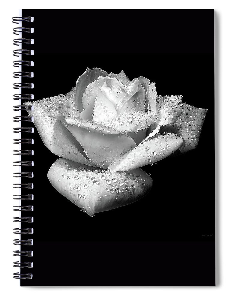 Rose Spiral Notebook featuring the photograph Platinum Rose Flower by Jennie Marie Schell