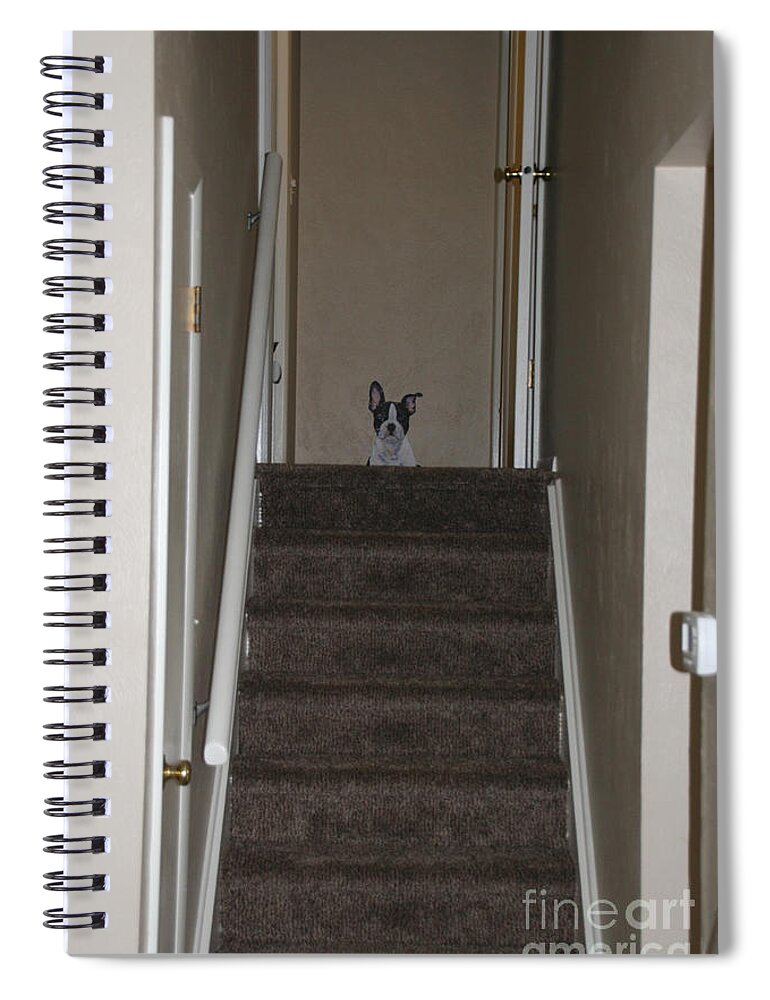 Dog Spiral Notebook featuring the painting Playful Pup's Placement by Susan Herber