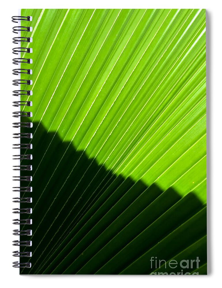 Michelle Meenawong Spiral Notebook featuring the photograph Pleats by Michelle Meenawong