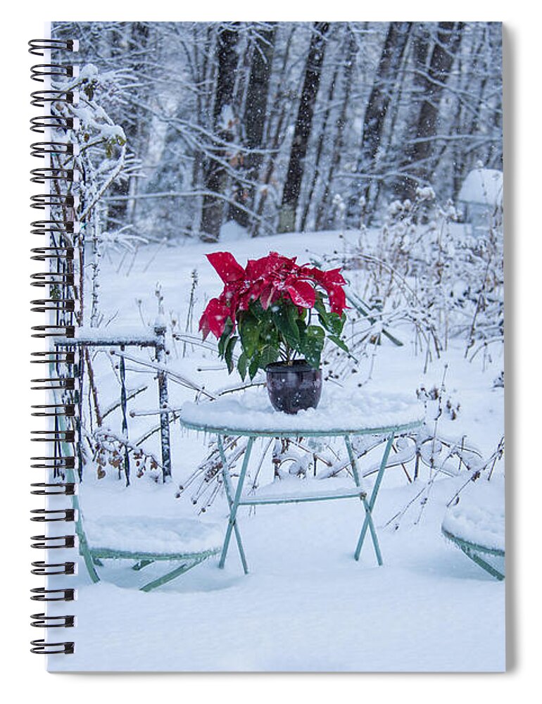 Poinsettia Spiral Notebook featuring the photograph Poinsettia in the Snow by Alana Ranney