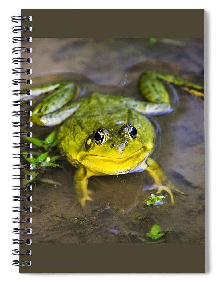 Green Frog Spiral Notebook featuring the photograph Chubby Green Frog by Christina Rollo