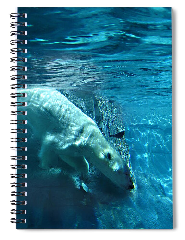 Wild Life Spiral Notebook featuring the photograph Polar Bear by Steve Karol