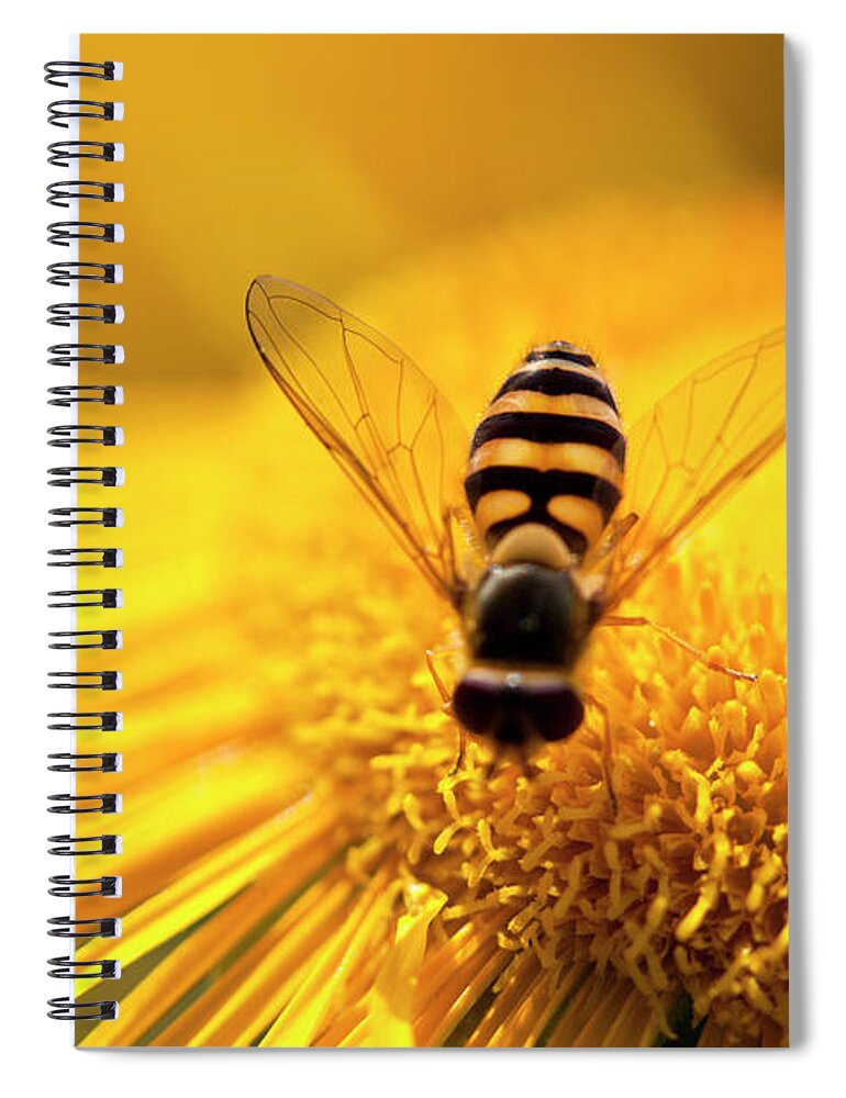Insect Spiral Notebook featuring the photograph Pollination by Letty17