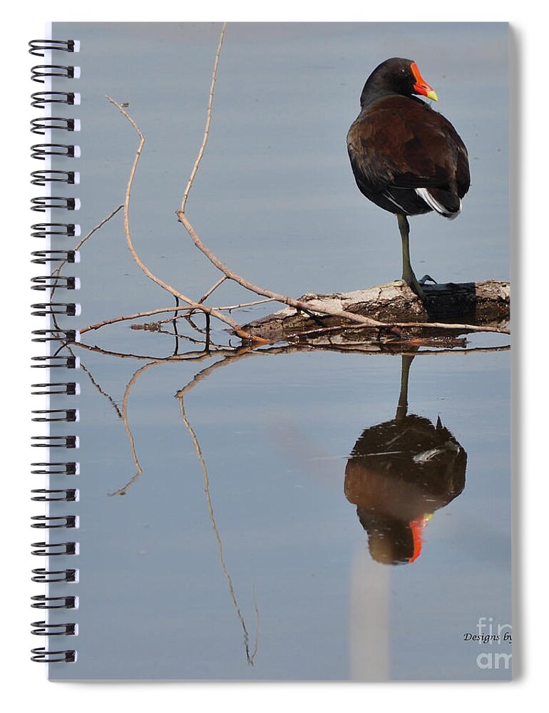 Reflection Spiral Notebook featuring the photograph Pond Reflection by Debby Pueschel