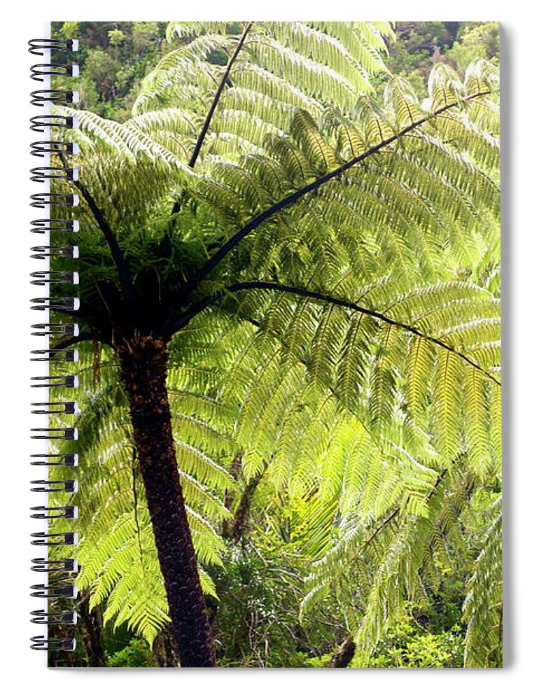 Scenics Spiral Notebook featuring the photograph Ponga Tree Fern Canopy, New Zealand by Lazingbee