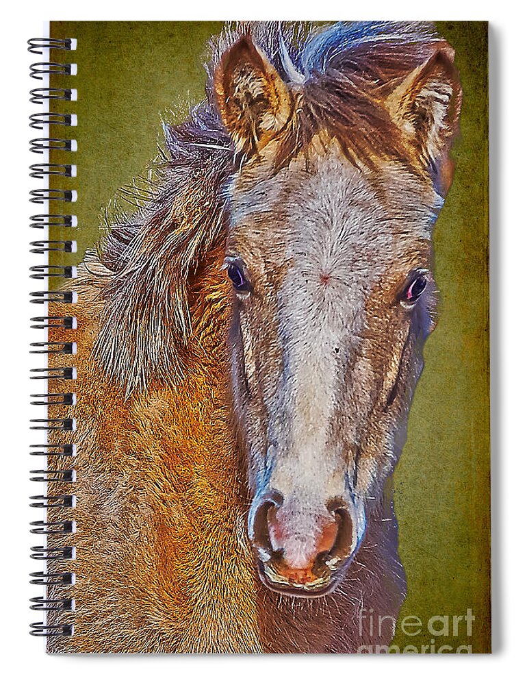 Pony Spiral Notebook featuring the photograph Pony Portrait by Charles Muhle
