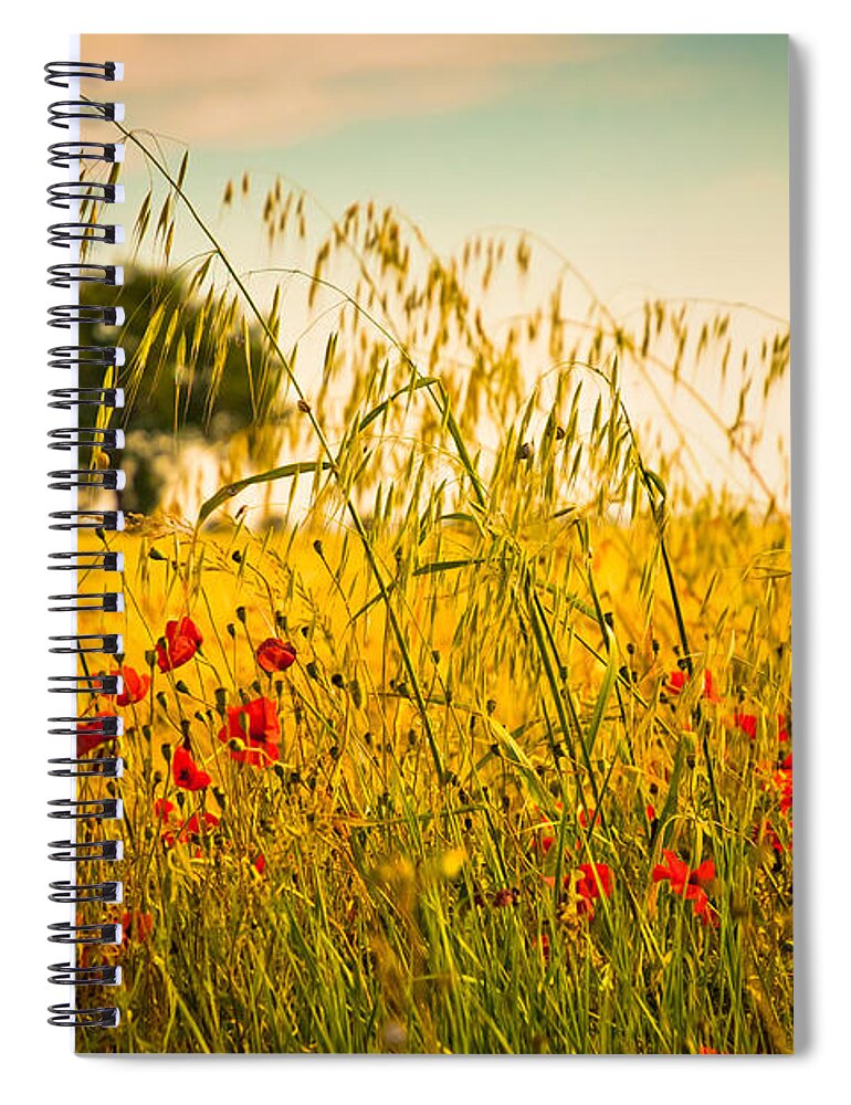 Field Spiral Notebook featuring the photograph Poppies with tree in the distance by Silvia Ganora